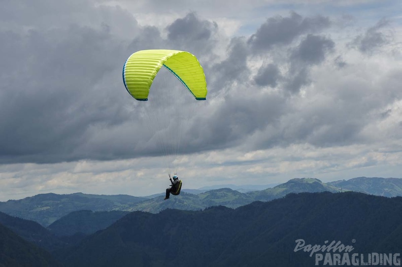 FS19.17 Slowenien-Paragliding-Papillon-325