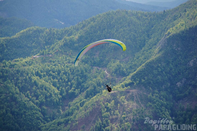 FS19.17 Slowenien-Paragliding-Papillon-352