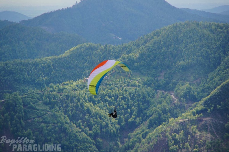 FS19.17 Slowenien-Paragliding-Papillon-353