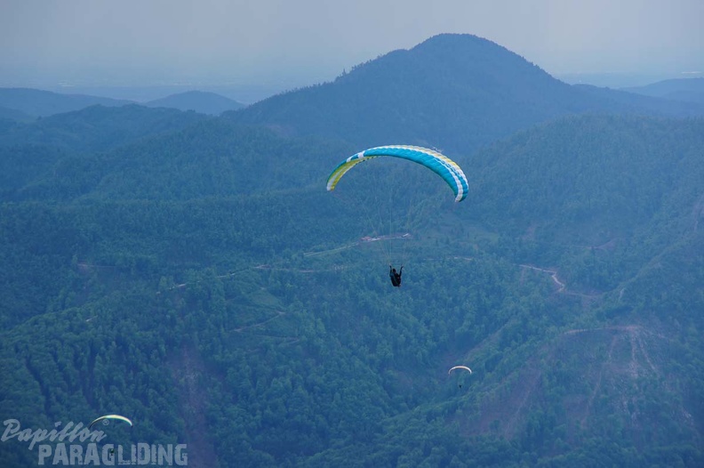 FS19.17 Slowenien-Paragliding-Papillon-377