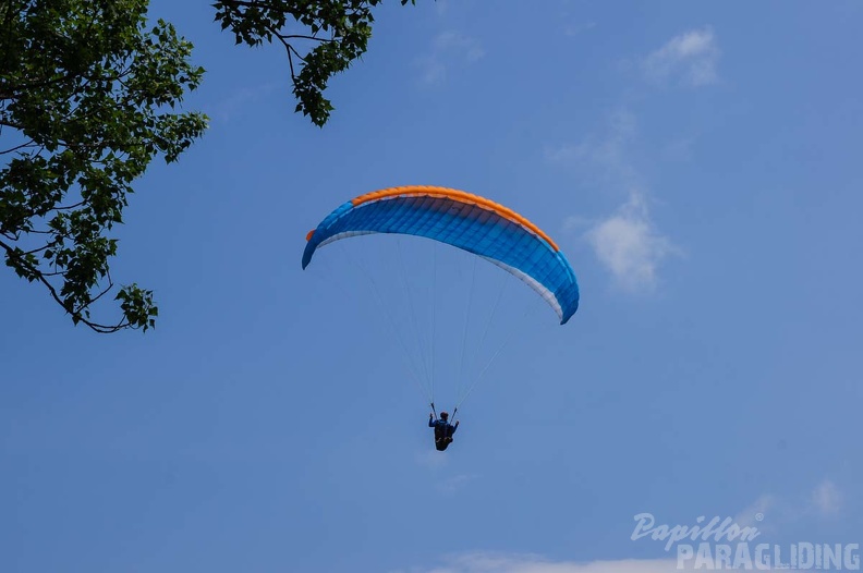 FS19.17_Slowenien-Paragliding-Papillon-413.jpg