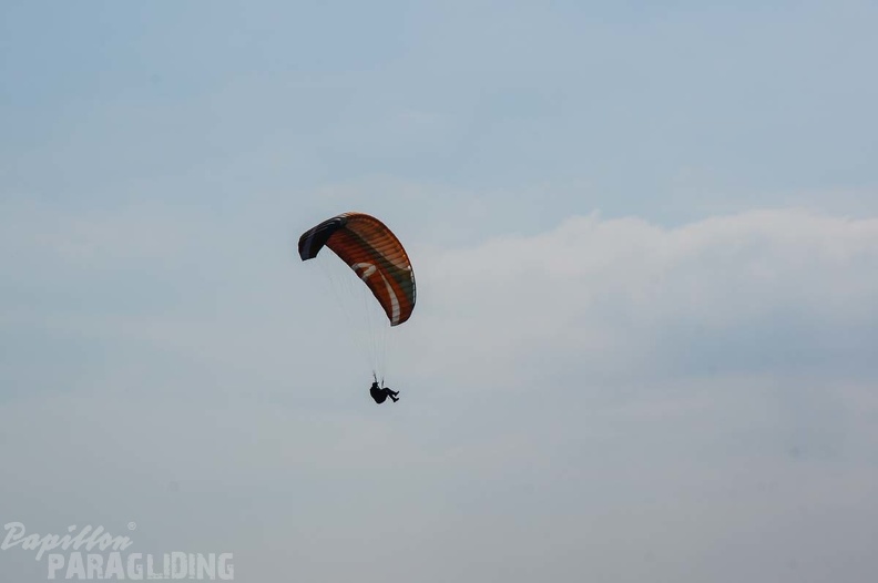 FS24.17 Slowenien-Paragliding-Papillon-138