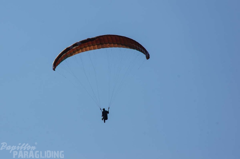 FS24.17 Slowenien-Paragliding-Papillon-165