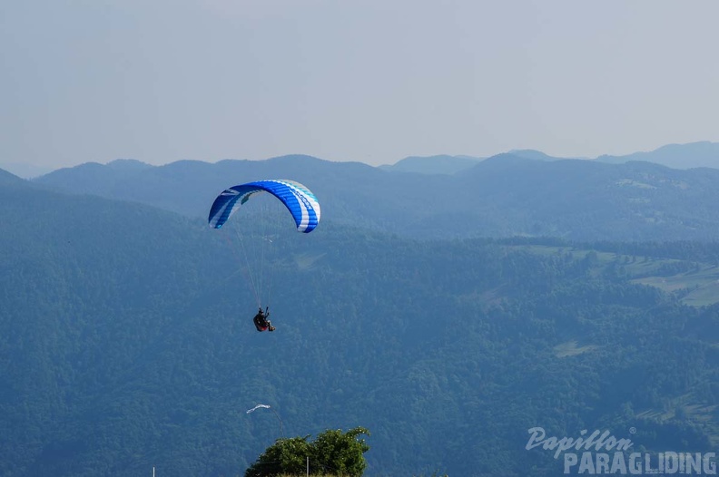 FS24.17 Slowenien-Paragliding-Papillon-169