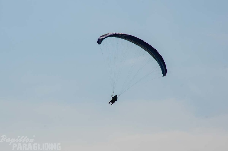 FS24.17 Slowenien-Paragliding-Papillon-196