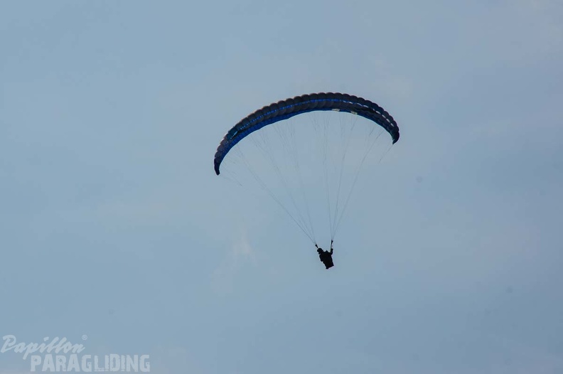 FS24.17 Slowenien-Paragliding-Papillon-198