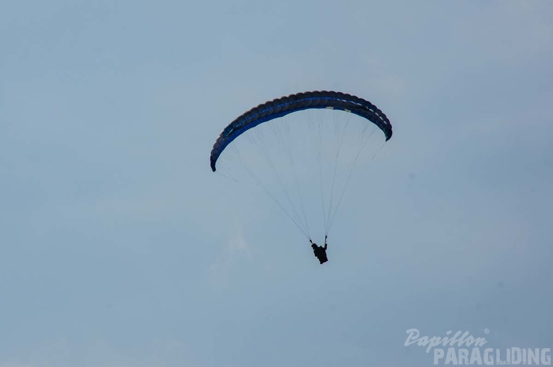 FS24.17 Slowenien-Paragliding-Papillon-198