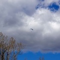 FS14.18 Slowenien-Paragliding-186