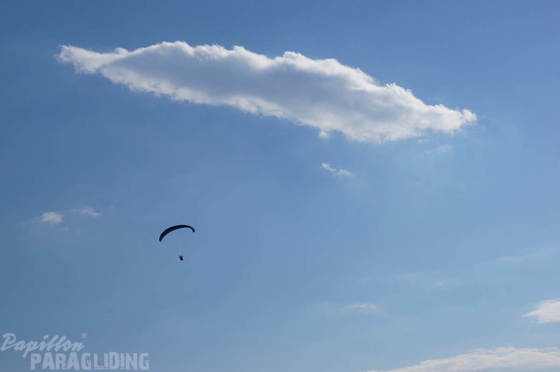 FS29.18 Slowenien-Paragliding-195