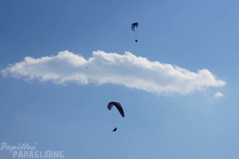FS29.18_Slowenien-Paragliding-206.jpg