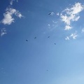 FS29.18 Slowenien-Paragliding-297