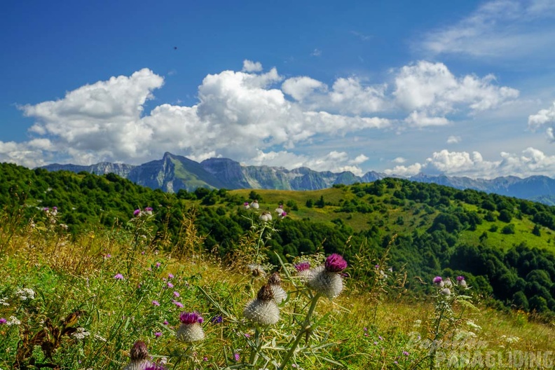 FS33.18 Slowenien-Paragliding-105