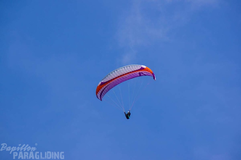 FS17.19 Slowenien-Paragliding-120