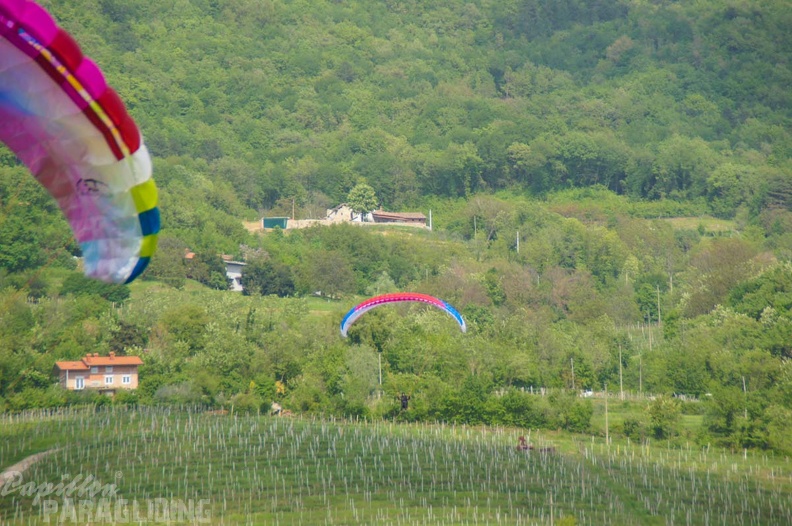 FS17.19 Slowenien-Paragliding-123