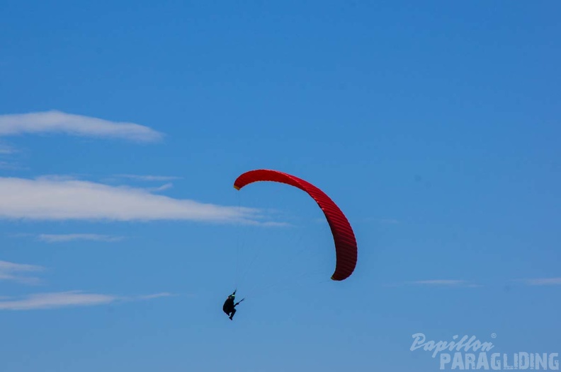 FS22.19 Slowenien-Paragliding-170