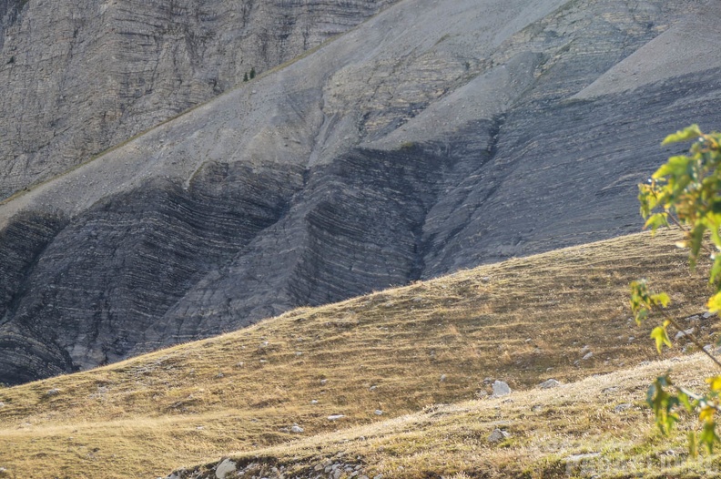 St_Andre_Paragliding_FW42_11-158.jpg