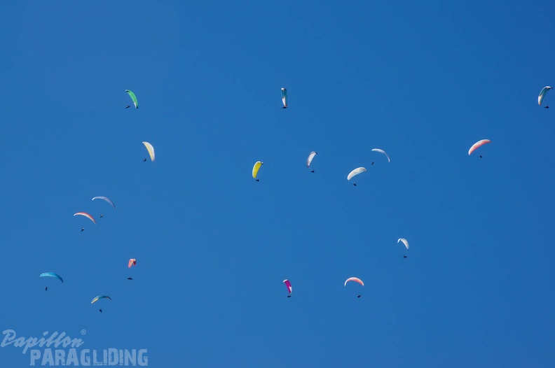 St Andre Paragliding-225