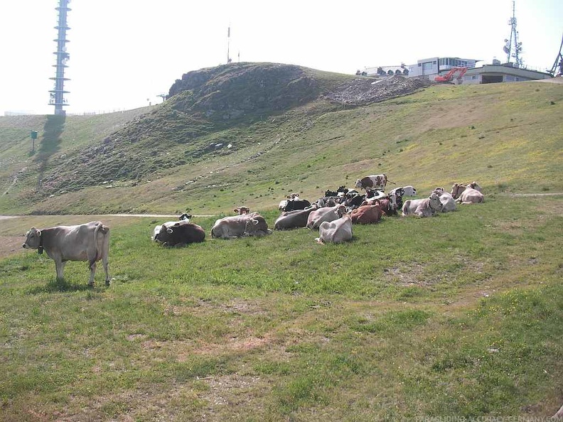 2010_Stubai_Flugsafari_Paragliding_107.jpg