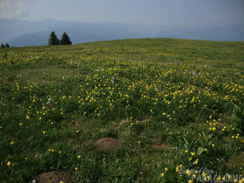 2011_FW17.11_Paragliding_181.jpg