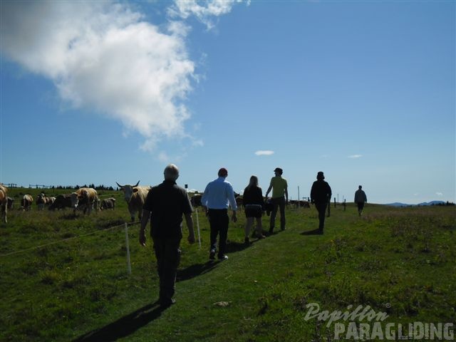 2011 FW28.11 Paragliding 110