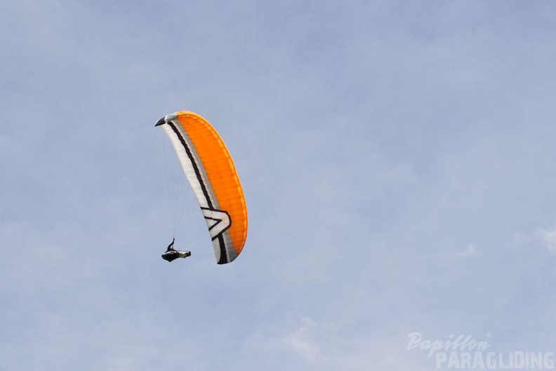 2012 FU1.12 Farfalla-Safari Paragliding 018