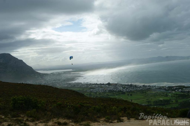 2013_FN6.13_Big_Five_Flo_Suedafrika_095.jpg