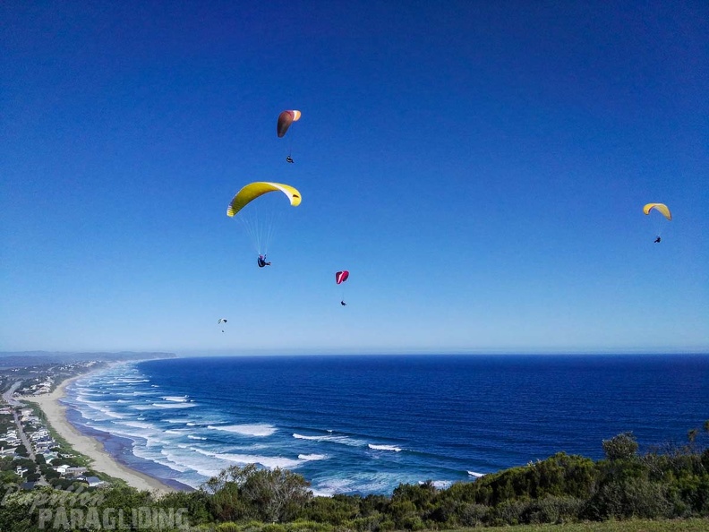 Paragliding Suedafrika FN5.17-135