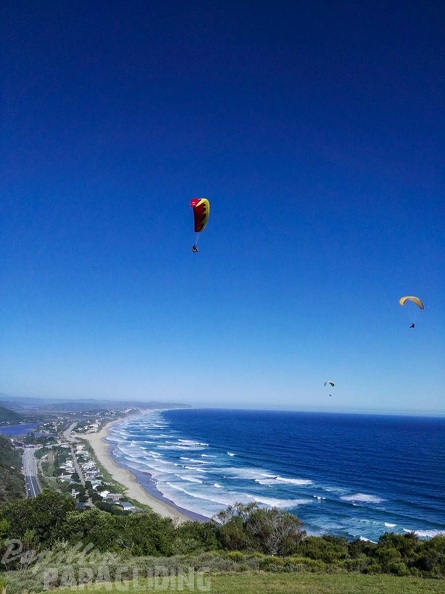 Paragliding_Suedafrika_FN5.17-136.jpg