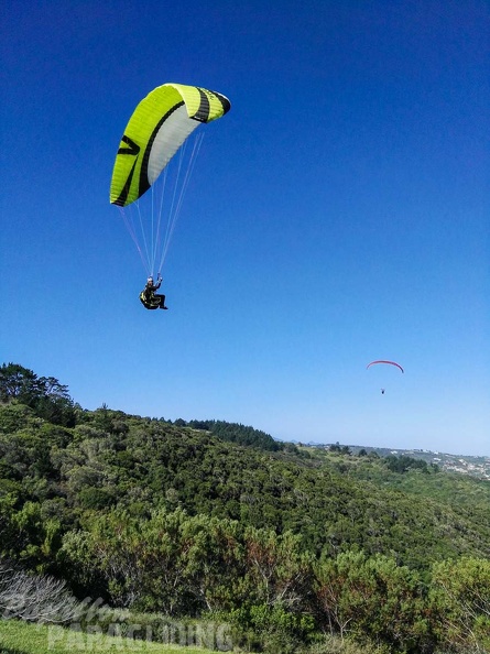 Paragliding_Suedafrika_FN5.17-148.jpg