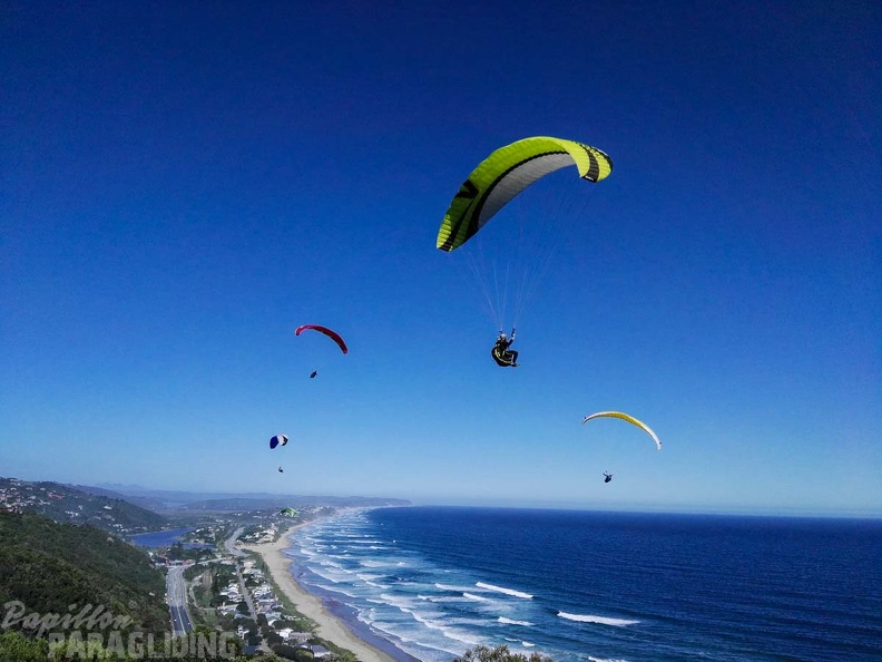Paragliding Suedafrika FN5.17-151