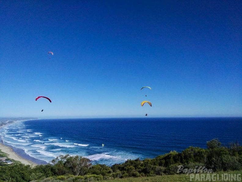 Paragliding Suedafrika FN5.17-156