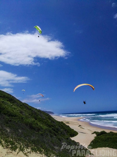 Paragliding Suedafrika FN5.17-170