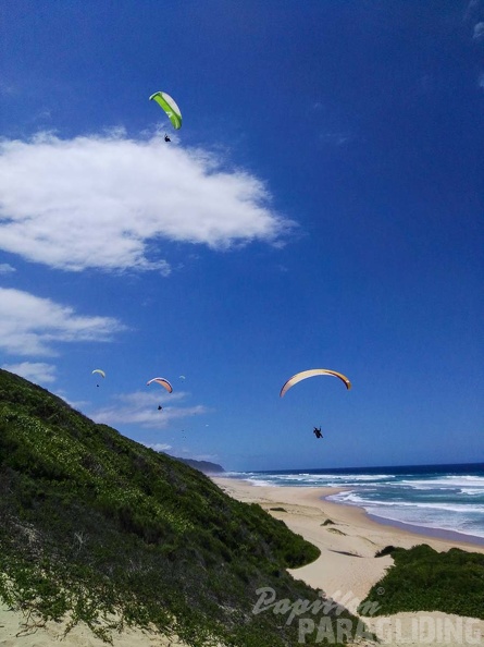 Paragliding_Suedafrika_FN5.17-171.jpg