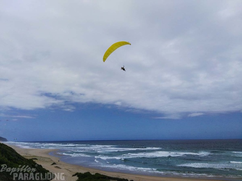 Paragliding_Suedafrika_FN5.17-178.jpg