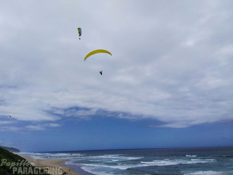 Paragliding Suedafrika FN5.17-182