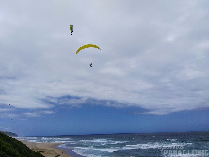 Paragliding Suedafrika FN5.17-182