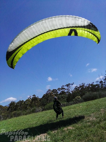 Paragliding Suedafrika FN5.17-233
