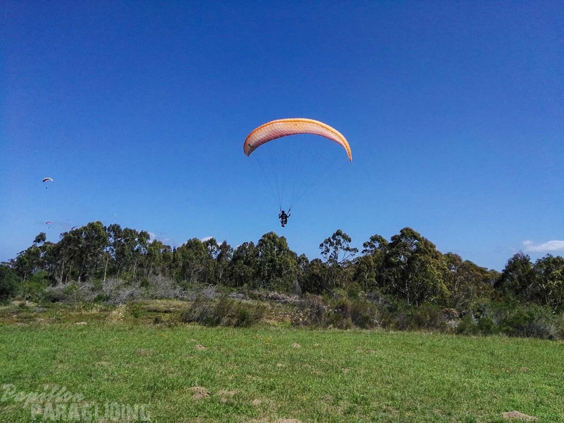Paragliding Suedafrika FN5.17-236