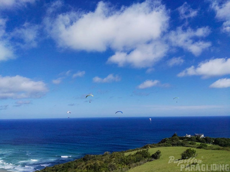 Paragliding Suedafrika FN5.17-254