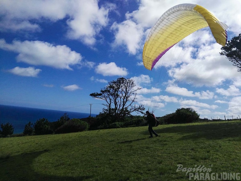 Paragliding Suedafrika FN5.17-256