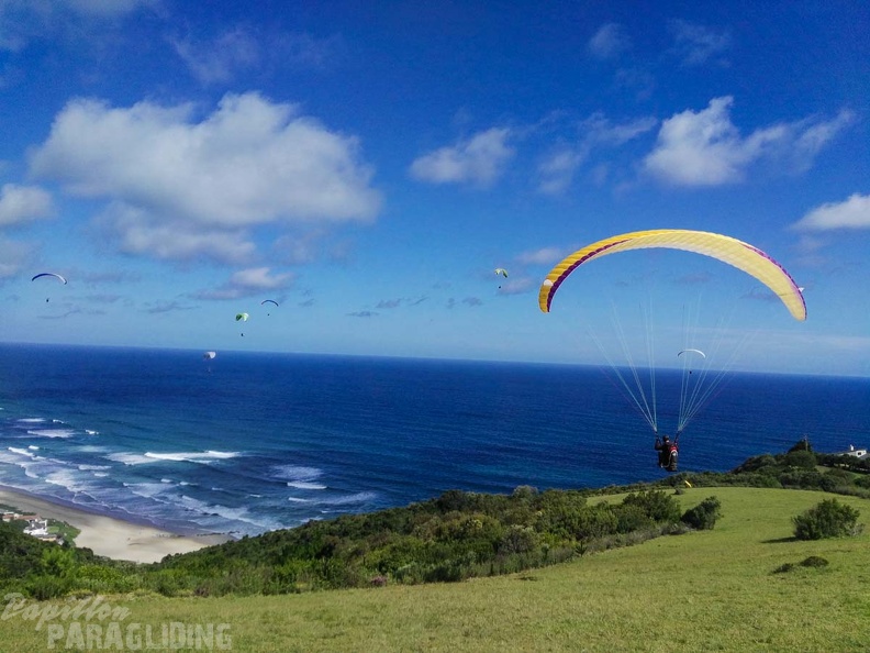 Paragliding_Suedafrika_FN5.17-259.jpg