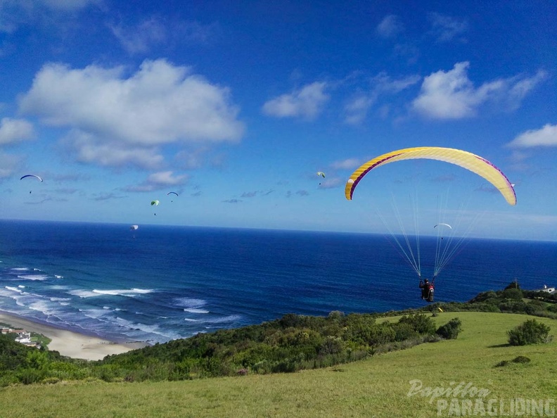 Paragliding_Suedafrika_FN5.17-259.jpg