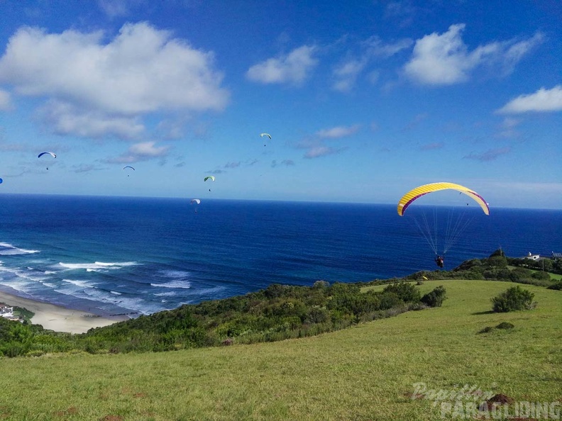 Paragliding Suedafrika FN5.17-260