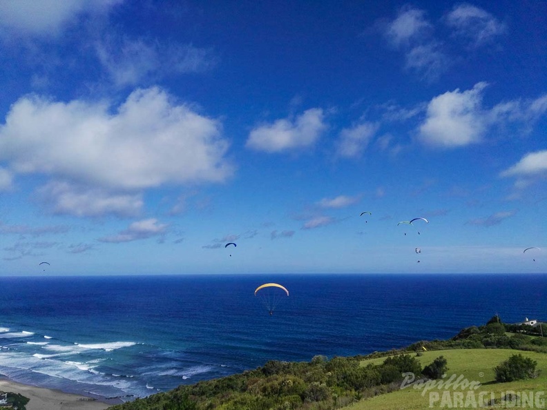 Paragliding Suedafrika FN5.17-261