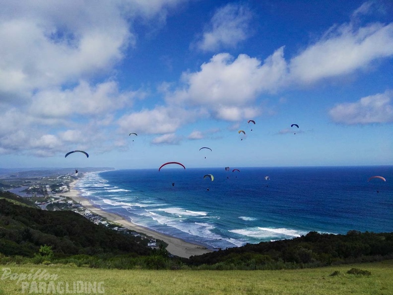 Paragliding Suedafrika FN5.17-264