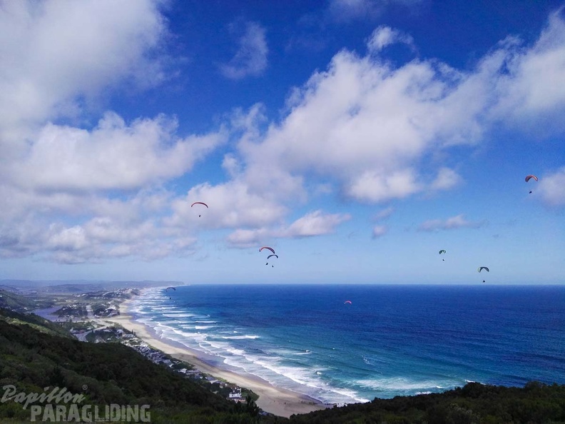 Paragliding Suedafrika FN5.17-267