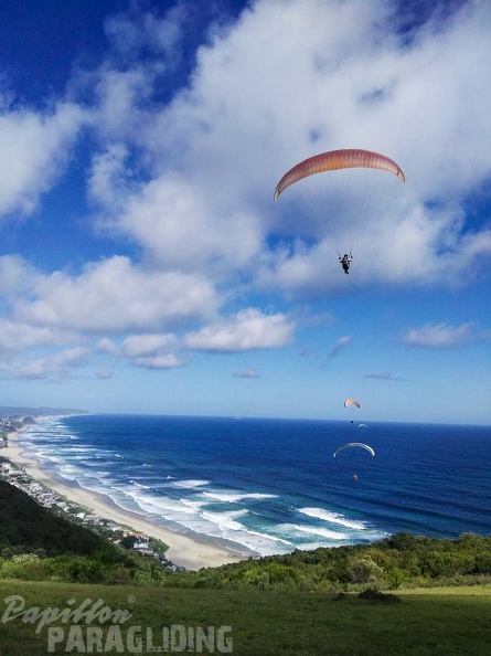 Paragliding Suedafrika FN5.17-268