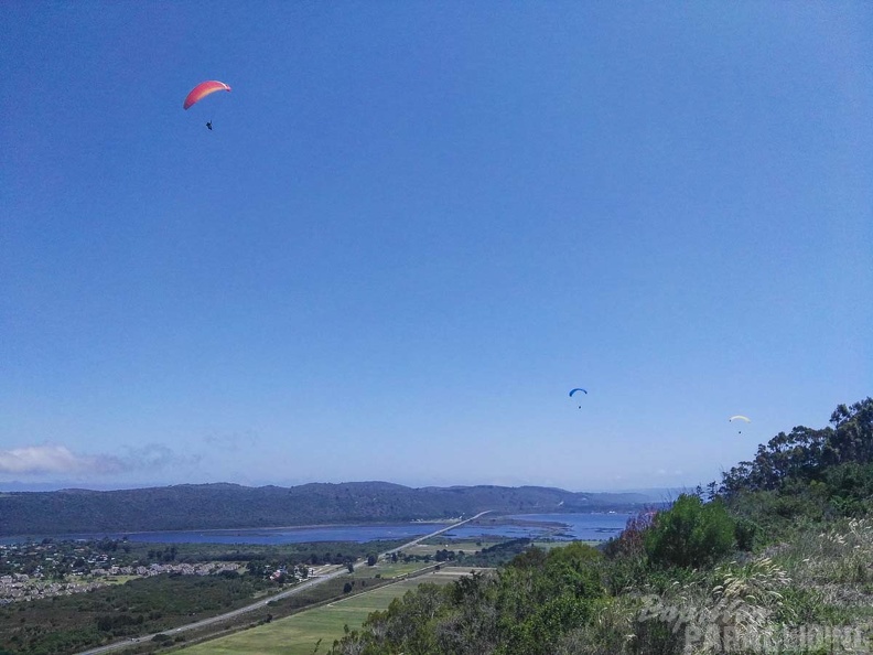 Paragliding_Suedafrika_FN5.17-280.jpg