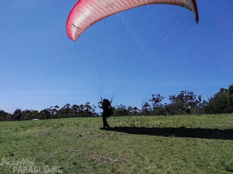 Paragliding Suedafrika FN5.17-308