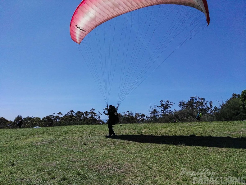 Paragliding Suedafrika FN5.17-308